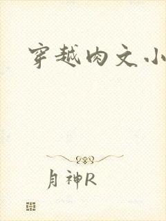 穿越肉文小说