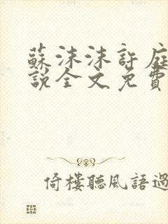 苏沫沫许庭川小说全文免费阅读