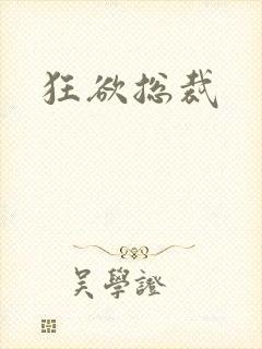 狂欲总裁封面
