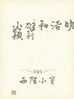 小雄和浩明夹击颖莉