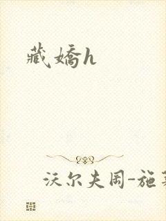 藏娇h