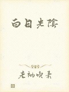 白日光阴封面