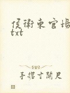 侯卫东官场笔记txt