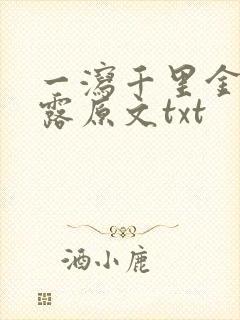 一泻千里金银花露原文txt