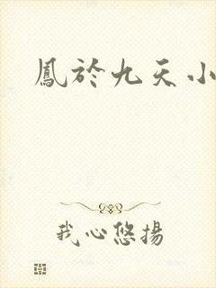 凤于九天小说