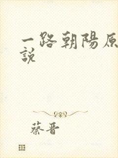 一路朝阳原著小说封面