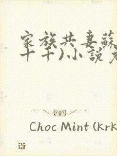 家族共妻苏苏(十千)小说免费