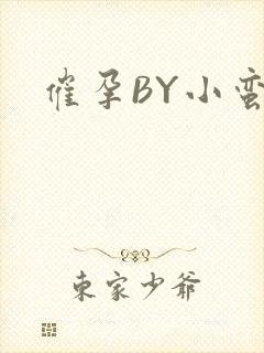 催孕BY小蛮腰