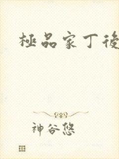 极品家丁后传