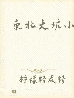 东北大坑小说