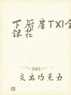 下厨房TXl金银花封面