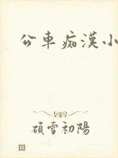 公车痴汉小说