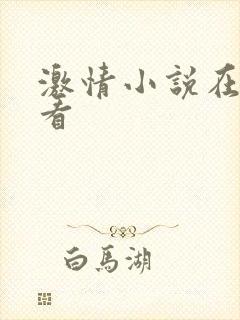 激情小说在线观看