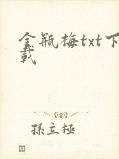 金瓶梅txt下载