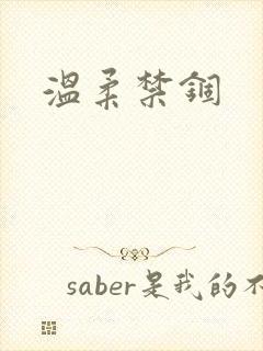 温柔禁锢封面