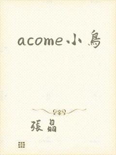 acome小鸟封面
