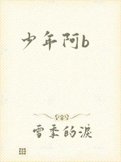 少年阿b