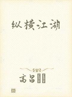 纵横江湖封面