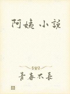 阿姨 小说
