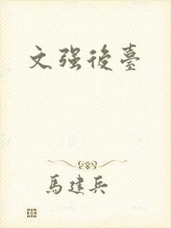 文强后台