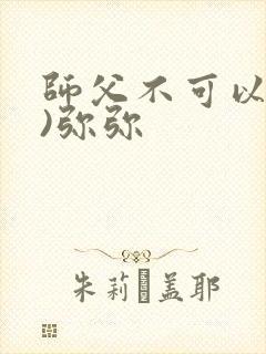 师父不可以(限)弥弥封面