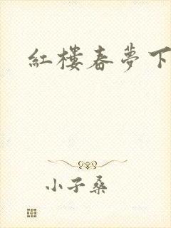 红楼春梦下载
