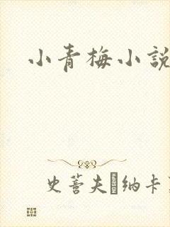 小青梅小说封面