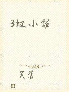 3级小说封面