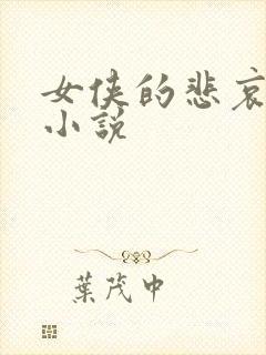 女侠的悲哀续集小说封面