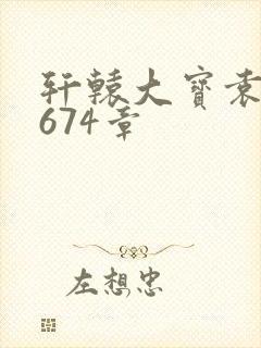 轩辕大宝袁雪妃674章