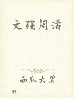 文强周涛