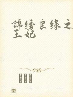锦绣良缘之北地王妃封面