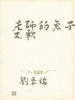 老师的兔子又大又软