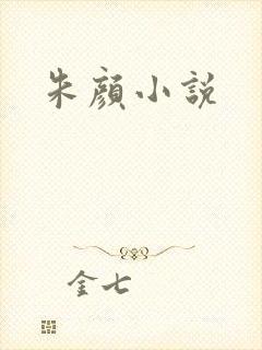 朱颜小说