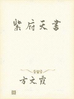 紫府天书