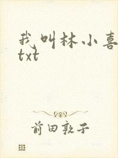 我叫林小喜小说txt