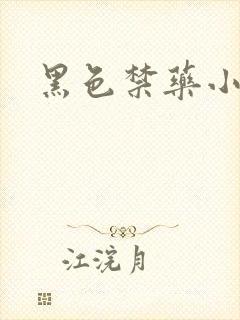 黑色禁药小说