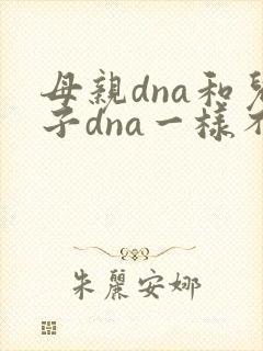 母亲dna和儿子dna一样不封面