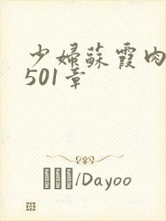 少妇苏霞肉欲第501章