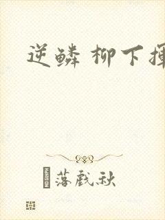 逆鳞 柳下挥