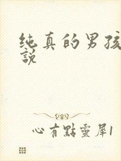 纯真的男孩子小说