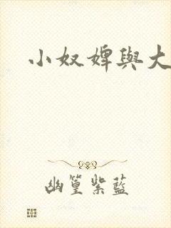 小奴婢与大少爷