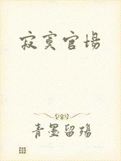 寂寞官场