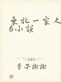 东北一家人1一6小说