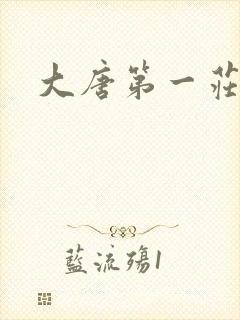 大唐第一庄