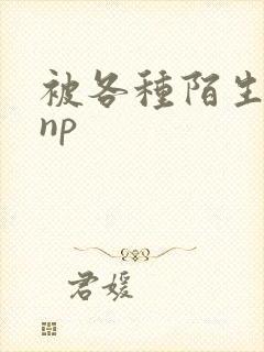 被各种陌生人 np