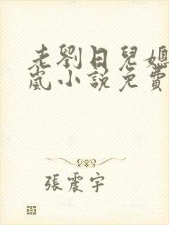 老刘日儿媳妇张岚小说免费阅读封面