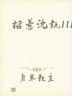 招惹沈执11h