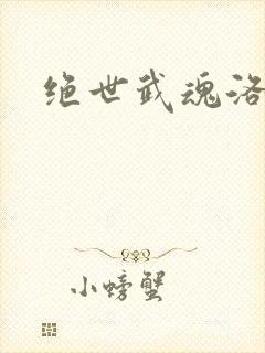 绝世武魂洛城东封面