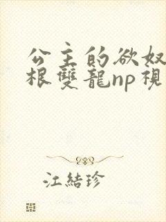 公主的欲奴h四根双龙np视频